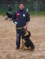 Dário
