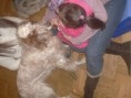 /album/terapia%20assistida%20por%20animais%20-%20c%c3%a3es/imgp6164-jpg/